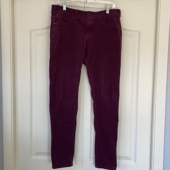 Pilcro & the Letterpress Mauve Curduroy Pants - Picture 2 of 12